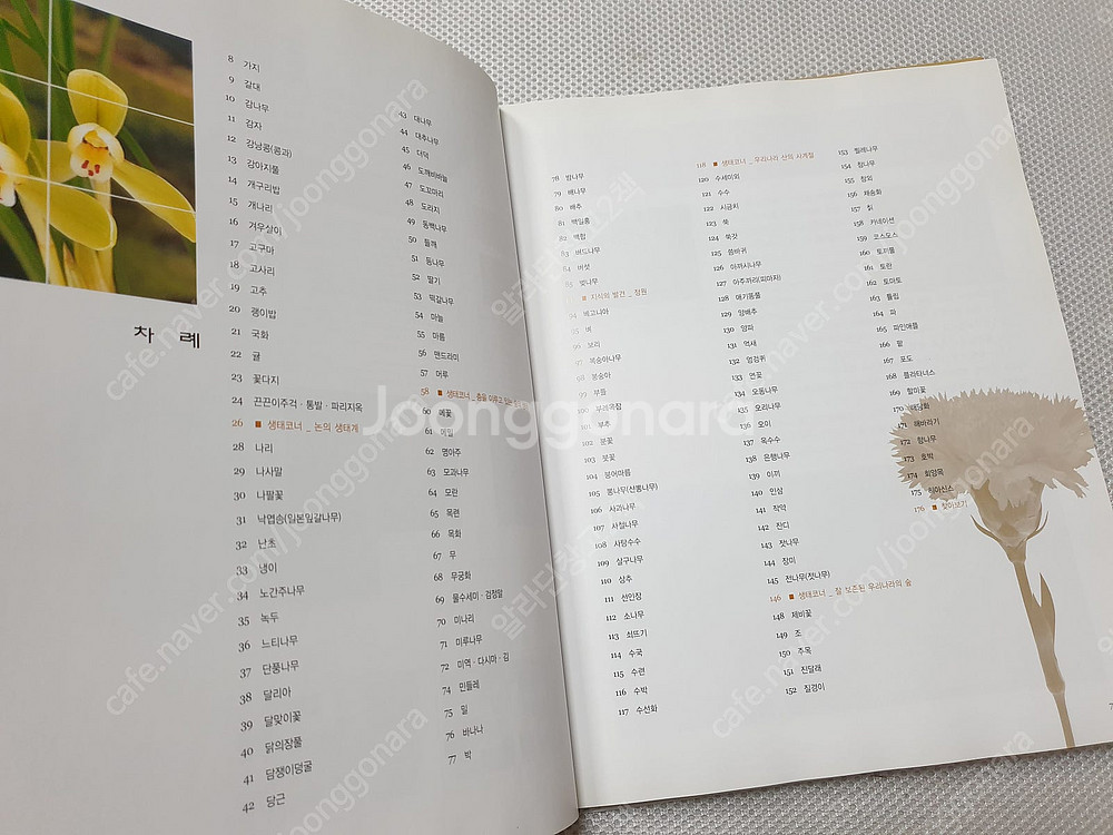 식물도감/ 만화교과서 5학년/ 세밀화로 그린 보리 어린이 식물도감/ 만화로 읽는 삼국유사 & 삼국사기/ 술술넘어가는...--4